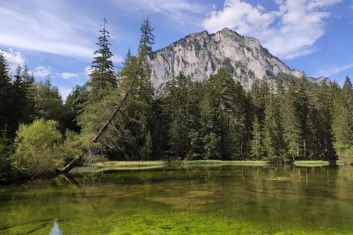 Austrian Alps Adventure: Green Lake Private Tour from Vienna