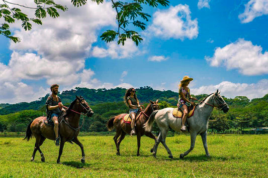 Guanacaste: Nature Horseback Ride + Hotel Pick-up