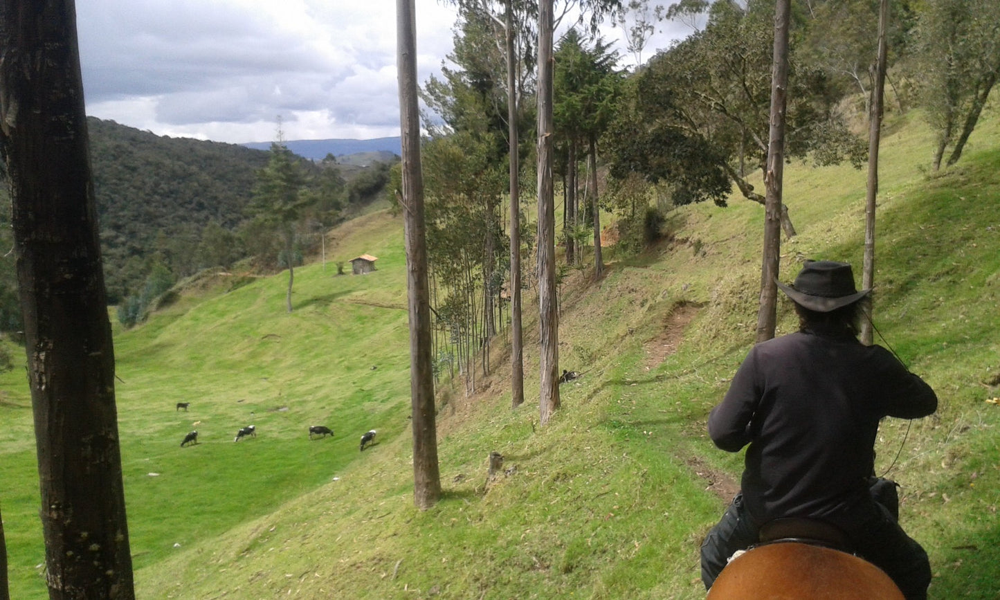 Puntarenas: Mountain & Farm View Horseback Ride + Pick-up Available