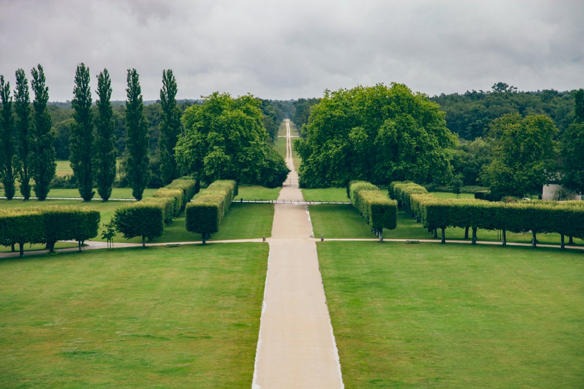 Chambord Castle Visit and Wine Tasting, Loire Valley