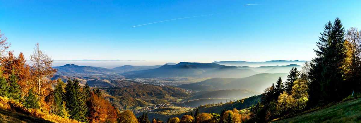 Half day in Alsace villages and wine tour