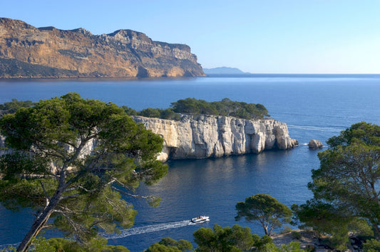 Cassis Village Discovery, Calanques Boat Tour & Provence Wine Tasting, Provence