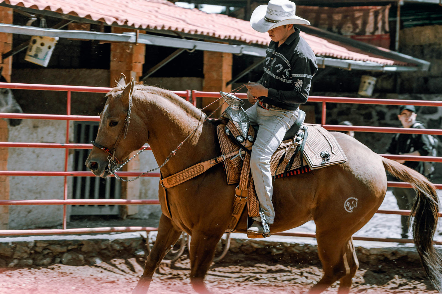 Arizona: Penning Full Lesson at Ranch + Pick-up Available