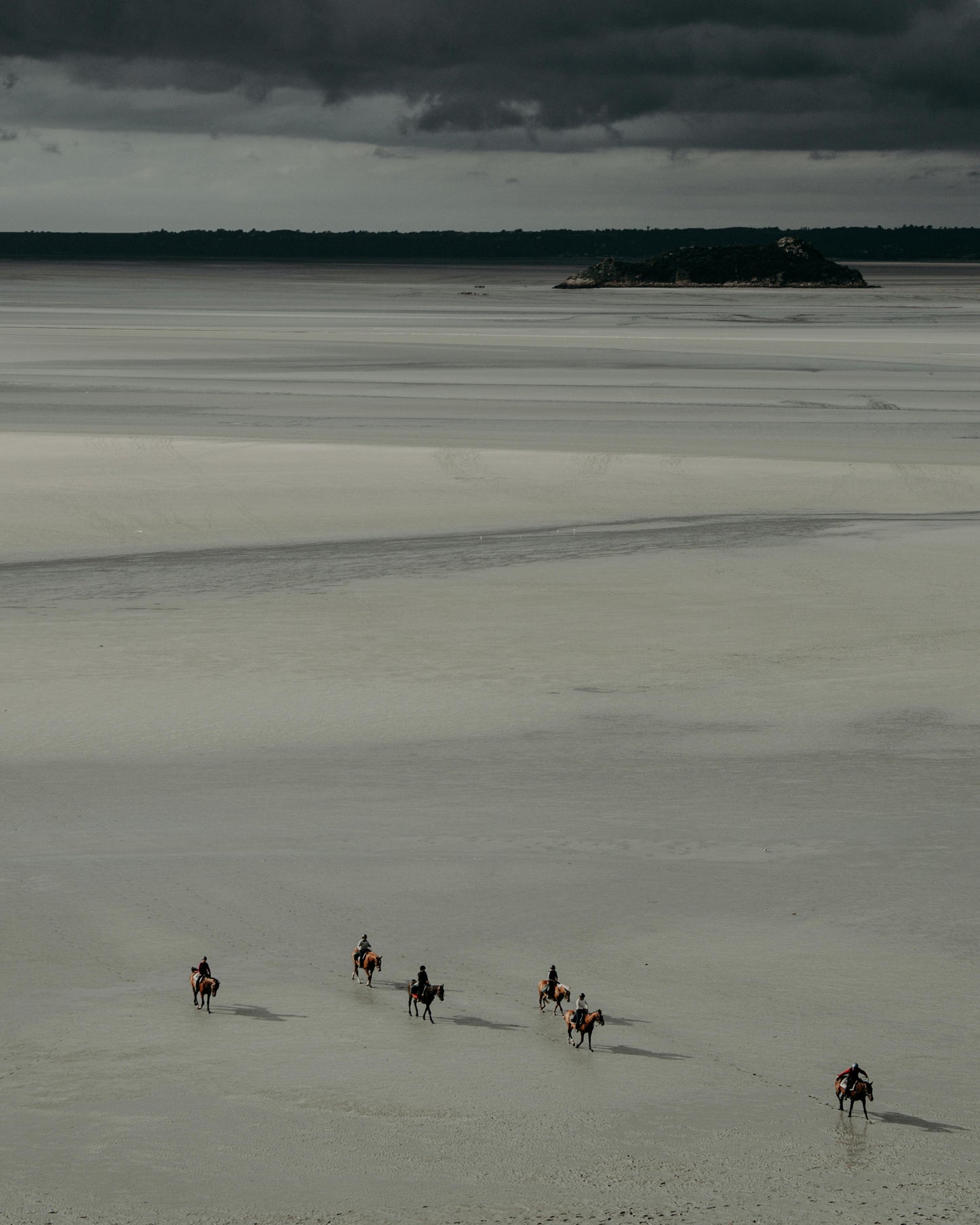 Aurora: Coastal Horseback Ride Beach Adventure + Pick-up Available