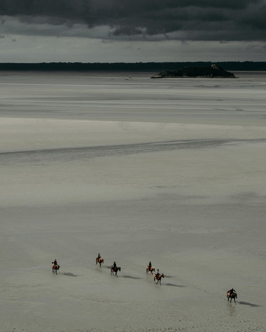 Aurora: Coastal Horseback Ride Beach Adventure + Pick-up Available