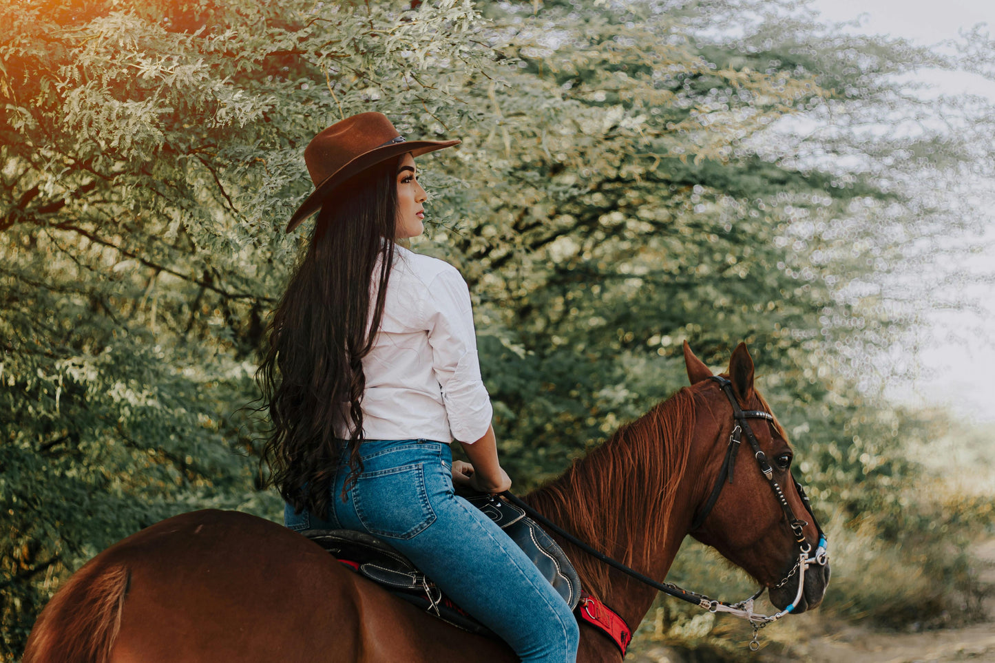 Victoria, Australia: Bellbrae Horseback Adventure through the Otway National Park