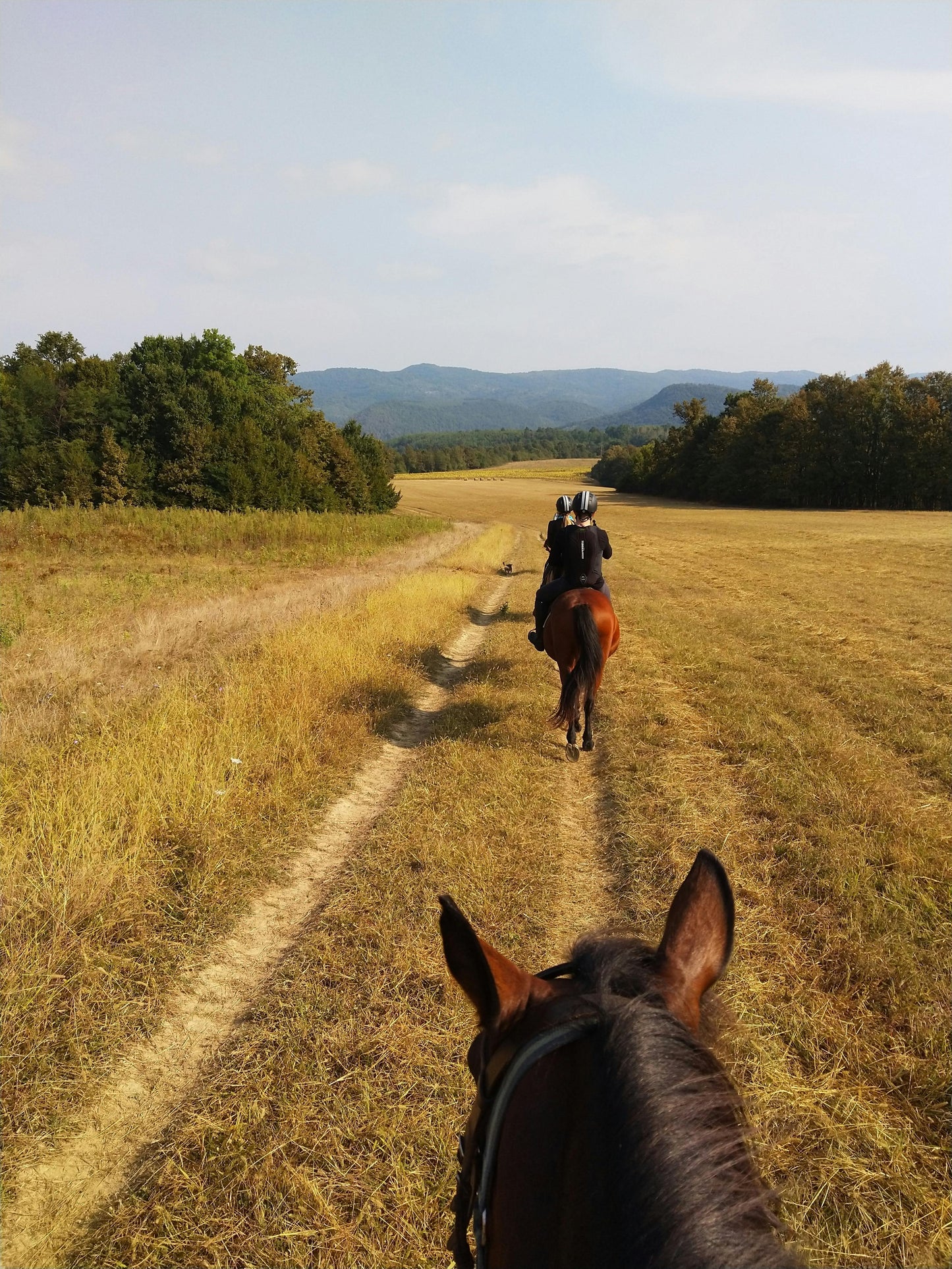 Asureti, Georgia: Full-Day Horseback Experience for Experienced Riders + Lunch