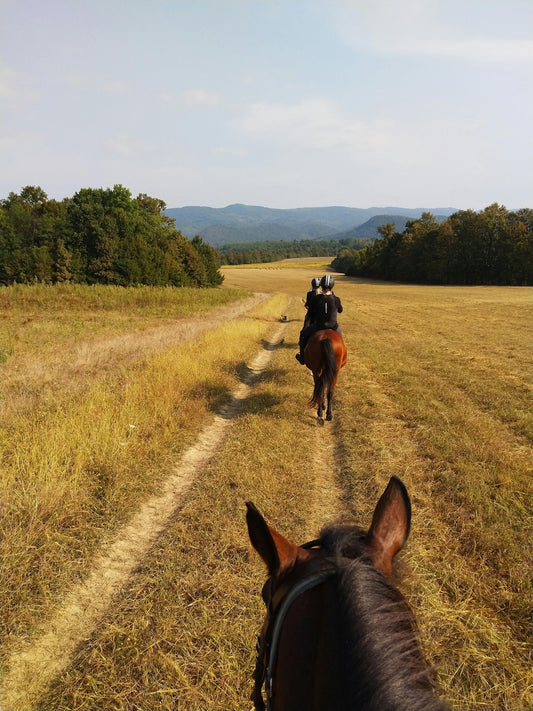 Asureti, Georgia: Full-Day Horseback Experience for Experienced Riders + Lunch