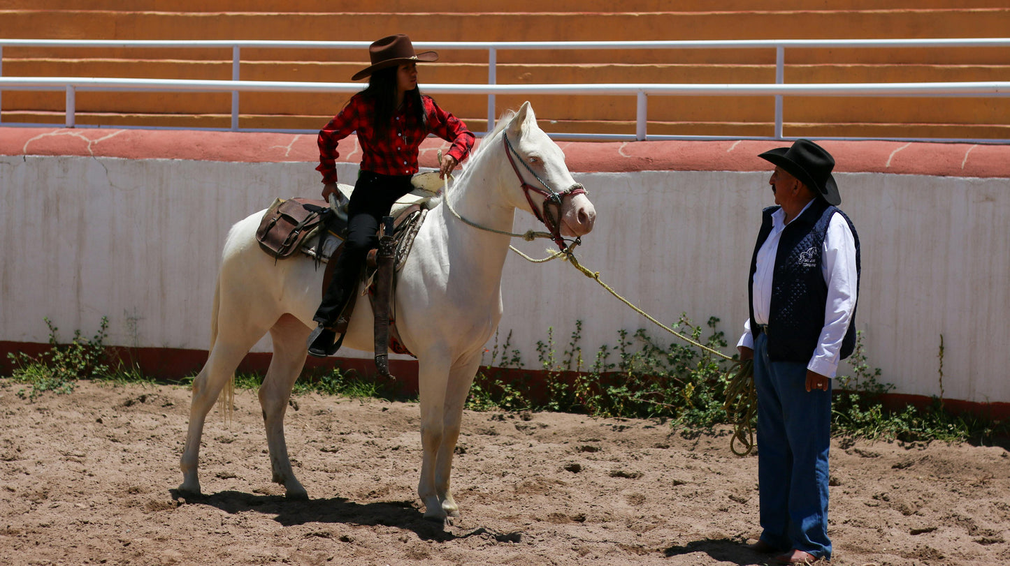 North Antrim: The Skill Sharpening Riding Lessons + Pick-up Available