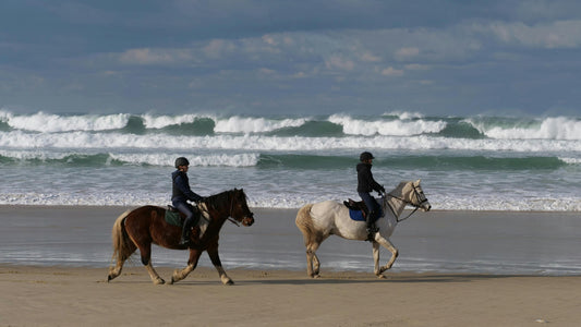 Abu Dhabi, UAE: 2-Hour Romantic Horse Ride + Exclusive Beach Picnic