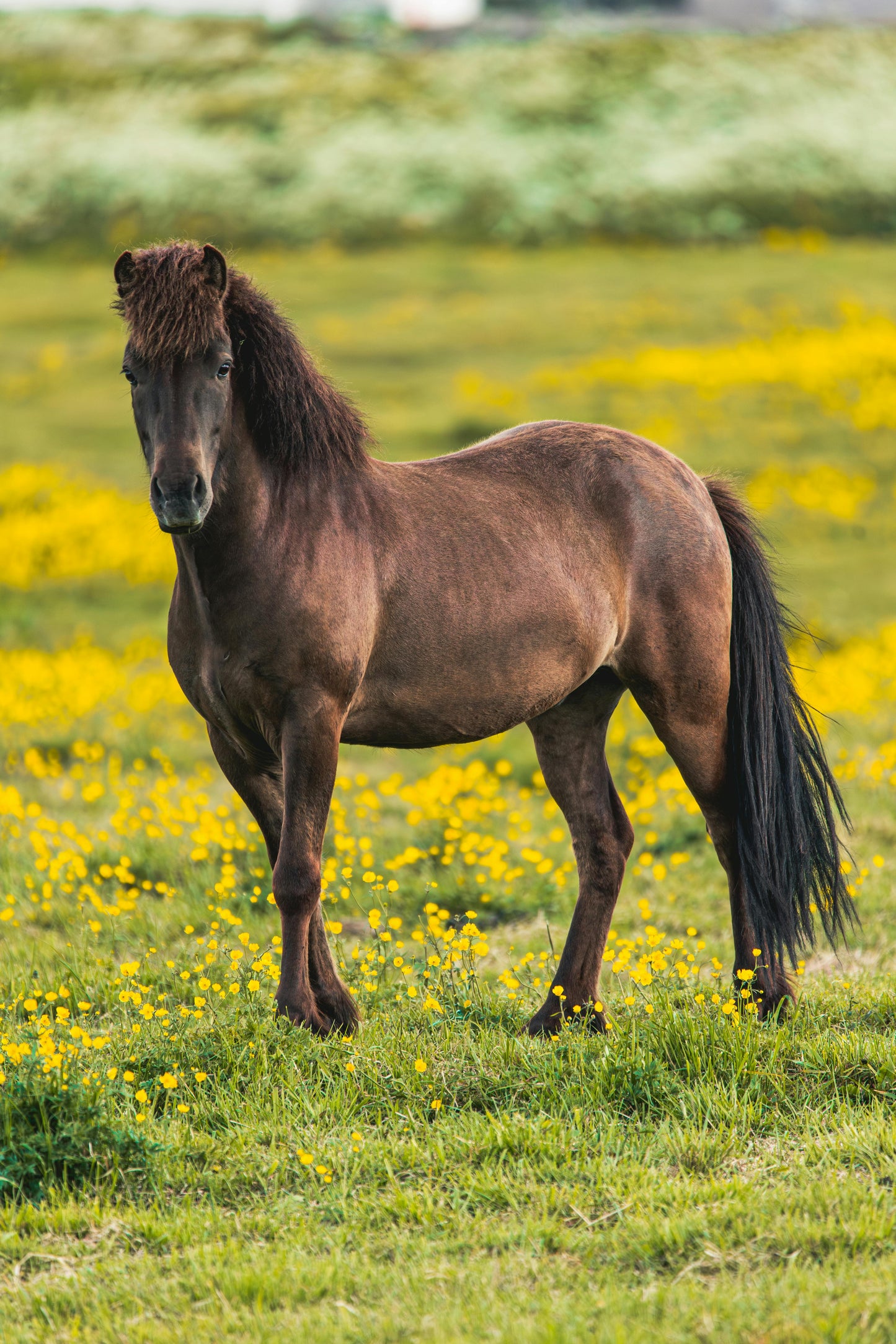 Oriental Mindoro: Private Lake's Secret Paradise Ride Tours + Pick-up