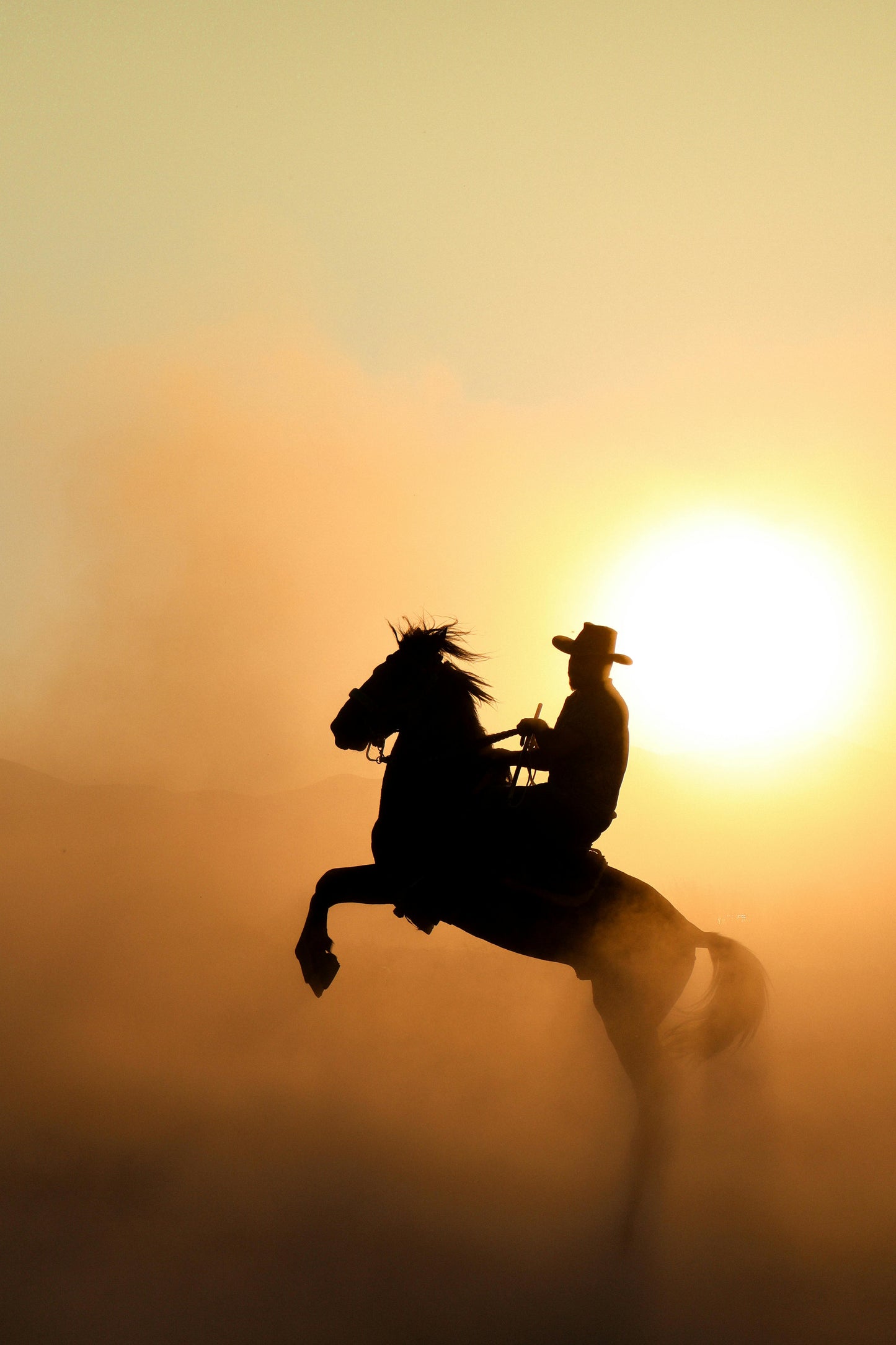 Solvang: Private Ride Serenade Proposal + Wine Tasting + Pick-up Available