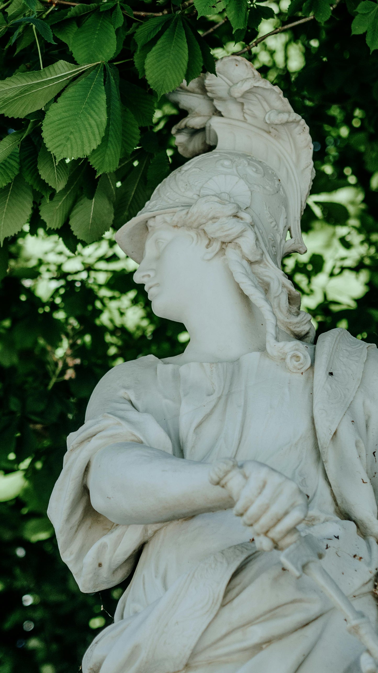 Versailles: 1.5 Private Horseback Garden Ride + Lunch