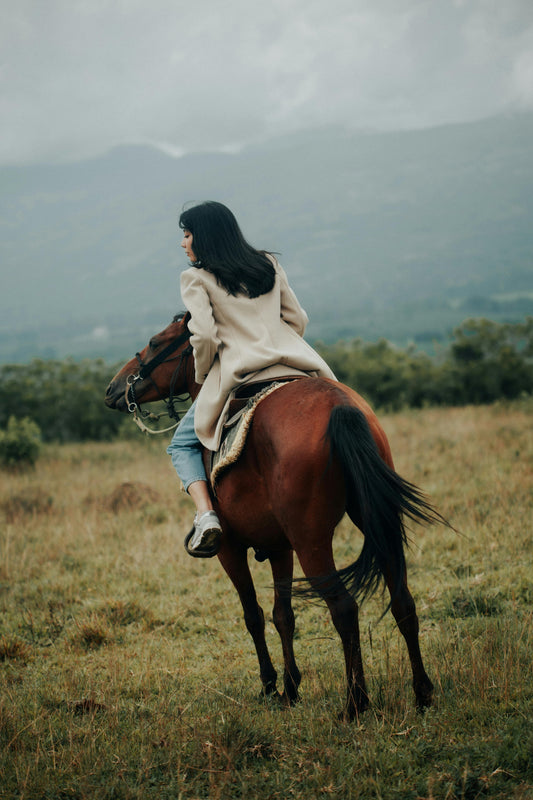 Kazbegi, Georgia: Truso Valley Horse Riding Tour + Pick-Up Available