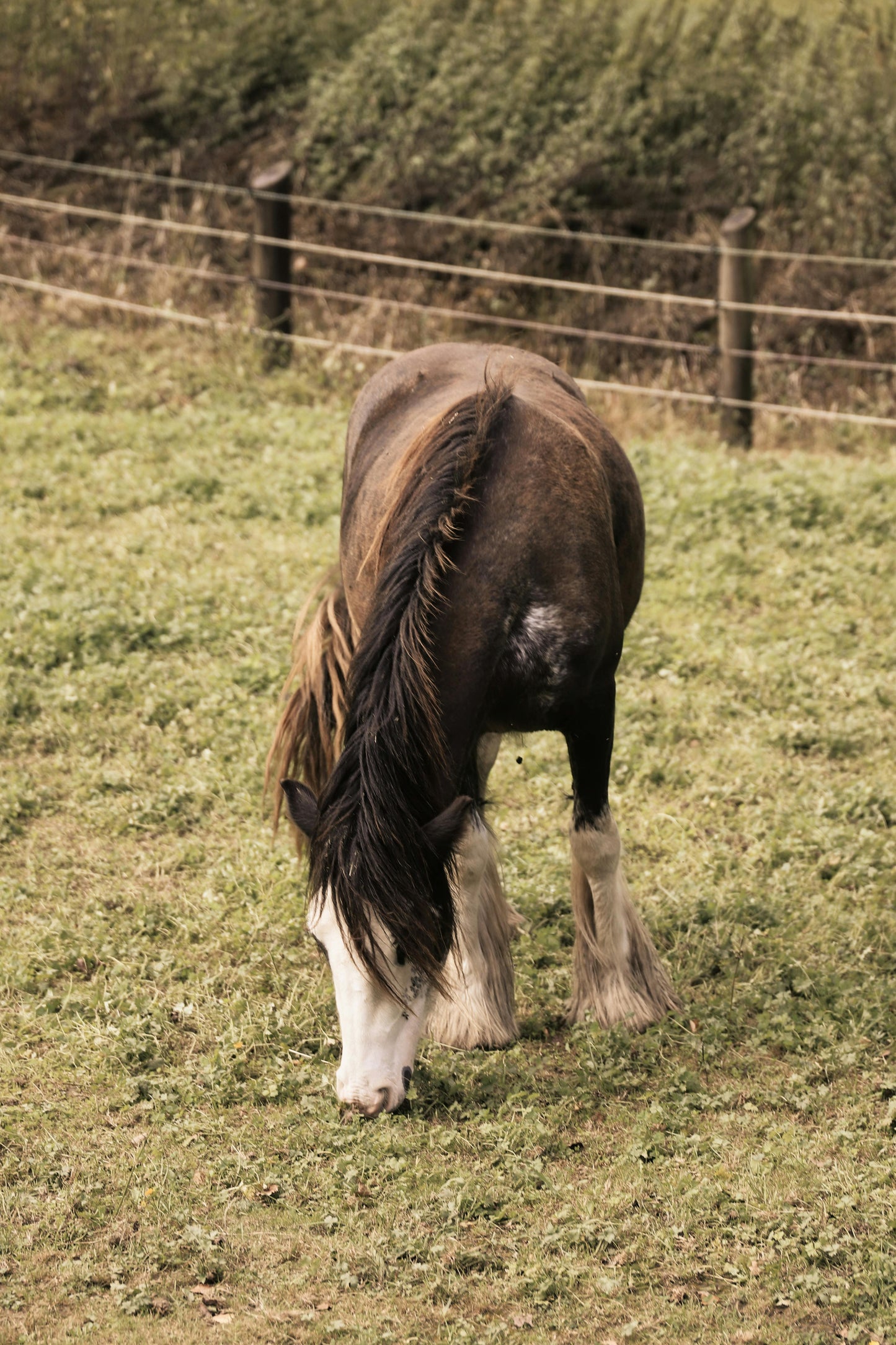 Oaxaca, Mexico: Countryside Horseback Journey