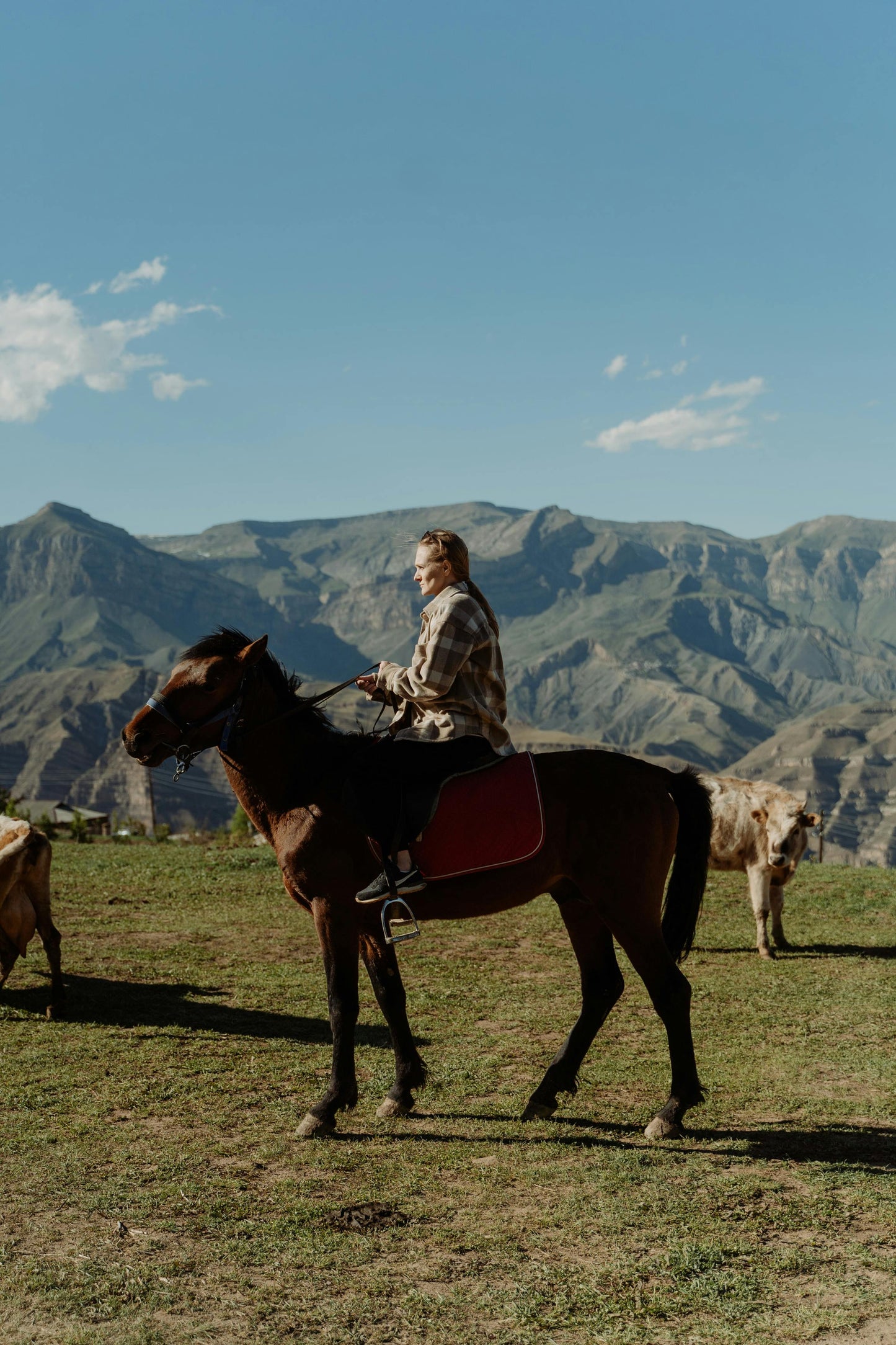 Glenorchy, New Zealand: Horseback Ride Along the Rees River