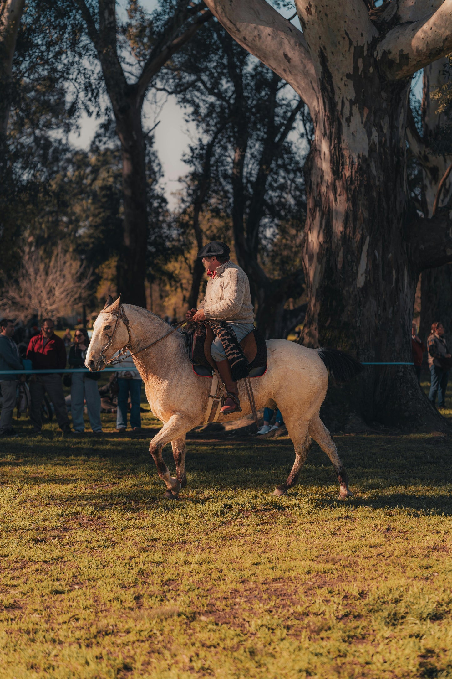 Glenworth Valley: 3.5-Hour Wilderness Horse Ride + Gourmet Picnic