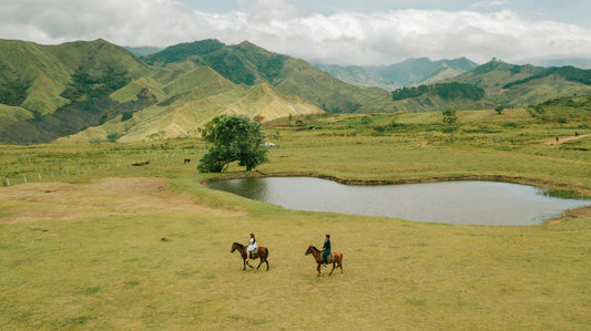 Bukidnon, Philippines: Private Horseback Ride With Tribal Picnic