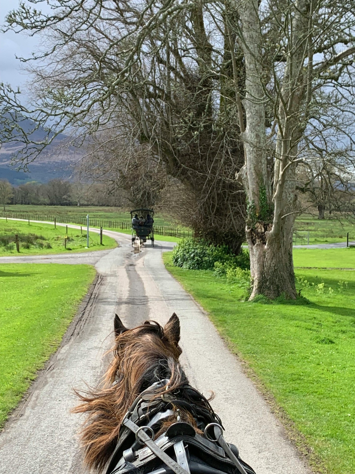 Dublin: Day Tour at Powerscourt and Glendalough through Horse Ride + Pick Up