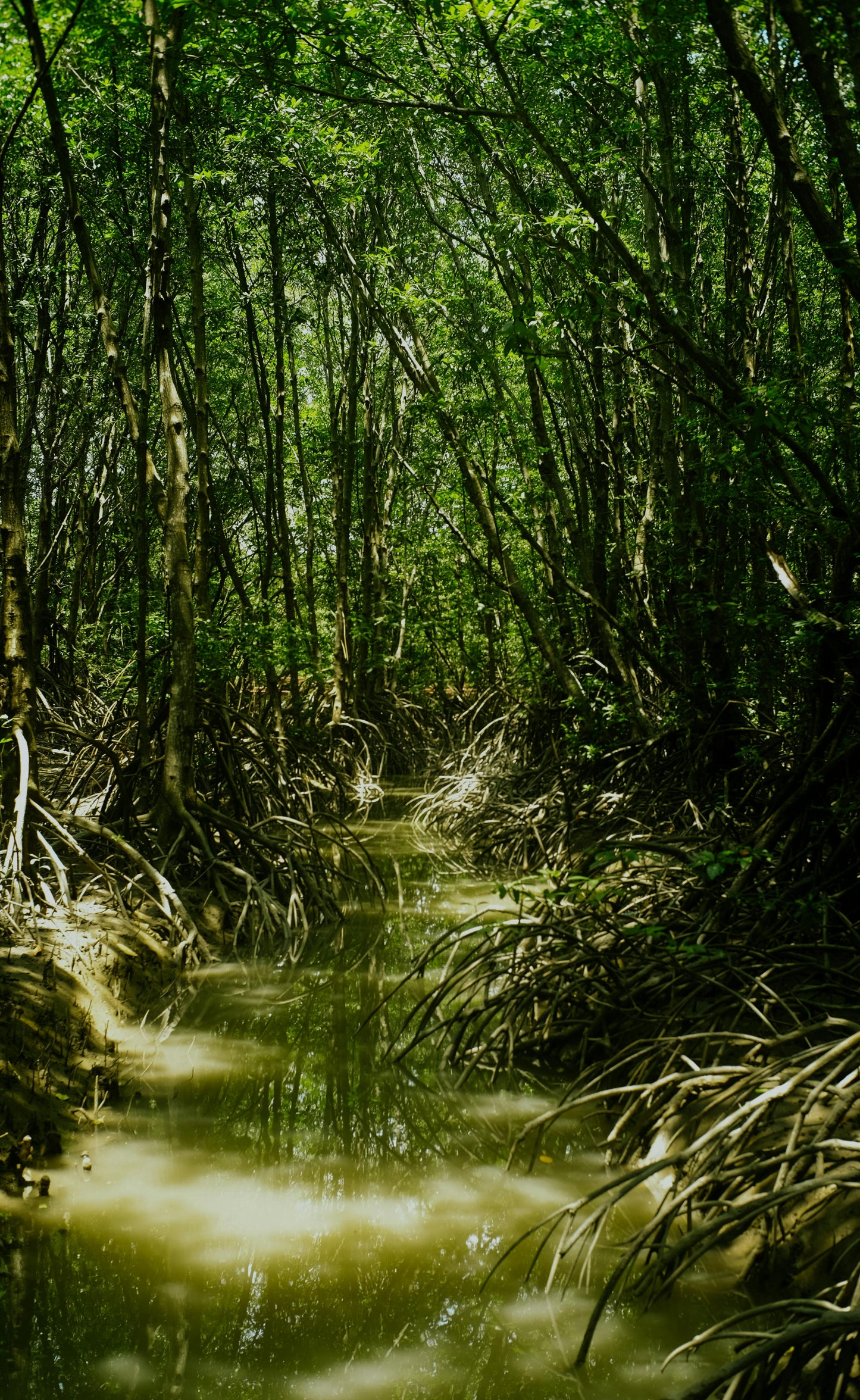 Langkawi: The Ultimate Nature Horseback Ride