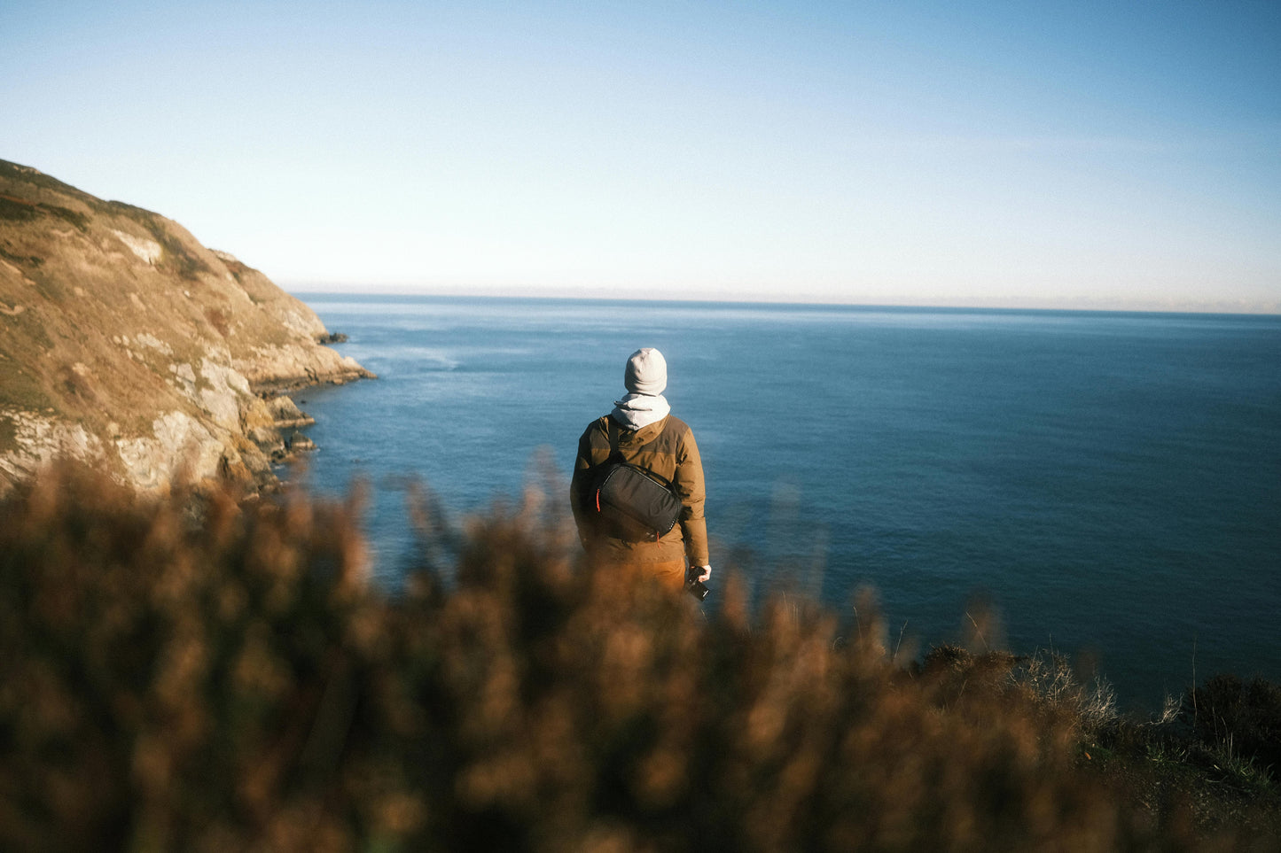 Dublin: Hidden Coastal Safari Trail Hike + Hot Drinks & Scones