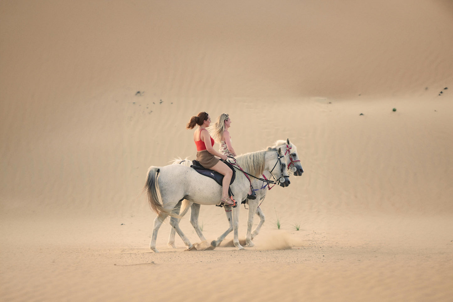 Abu Dhabi, UAE: 50-Minute Beach Horseback Ride (Sunrise/Sunset)
