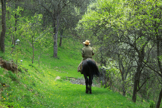 Pretoria, South Africa: Horse Ride & Romantic Picnic