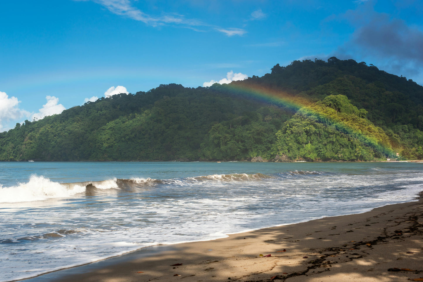 Buccoo Bay: 2-Hour Swim with Horses Unique Experience