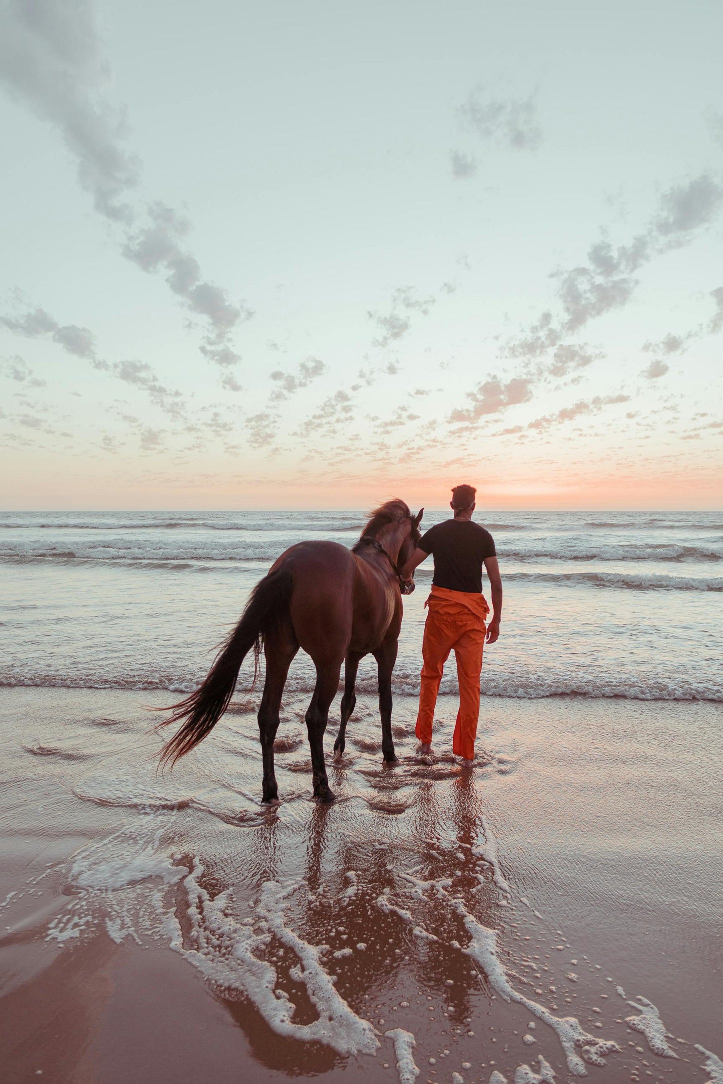 Abu Dhabi, UAE: 50-Minute Beach Horseback Ride (Sunrise/Sunset)