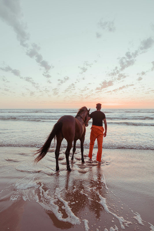Abu Dhabi, UAE: 50-Minute Beach Horseback Ride (Sunrise/Sunset)