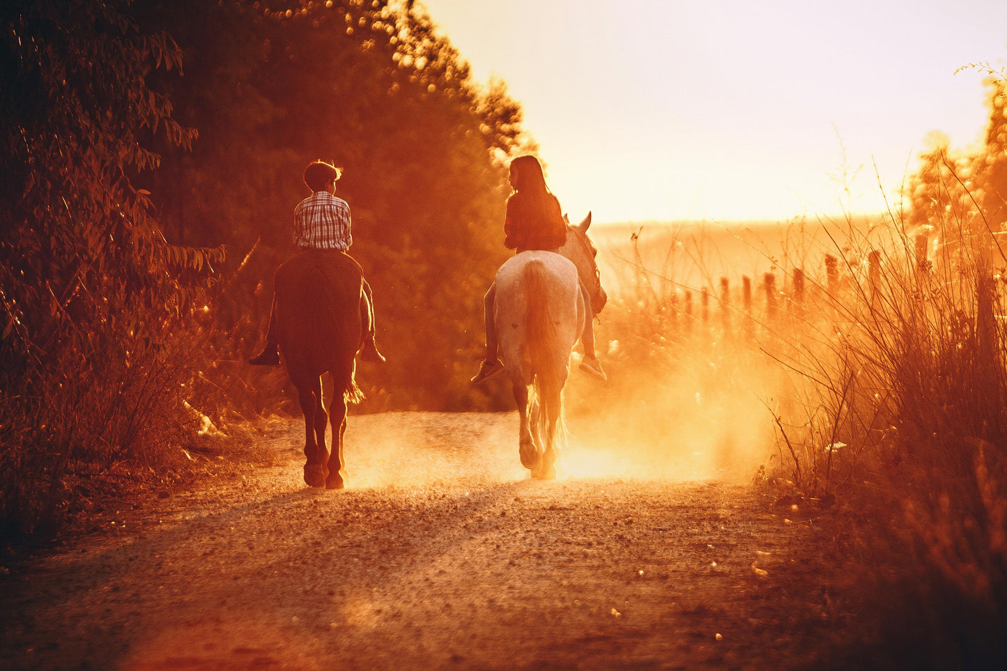 Arizona: Private Picnic Lunch Horseback Ride + Drinks + Pick-up Available
