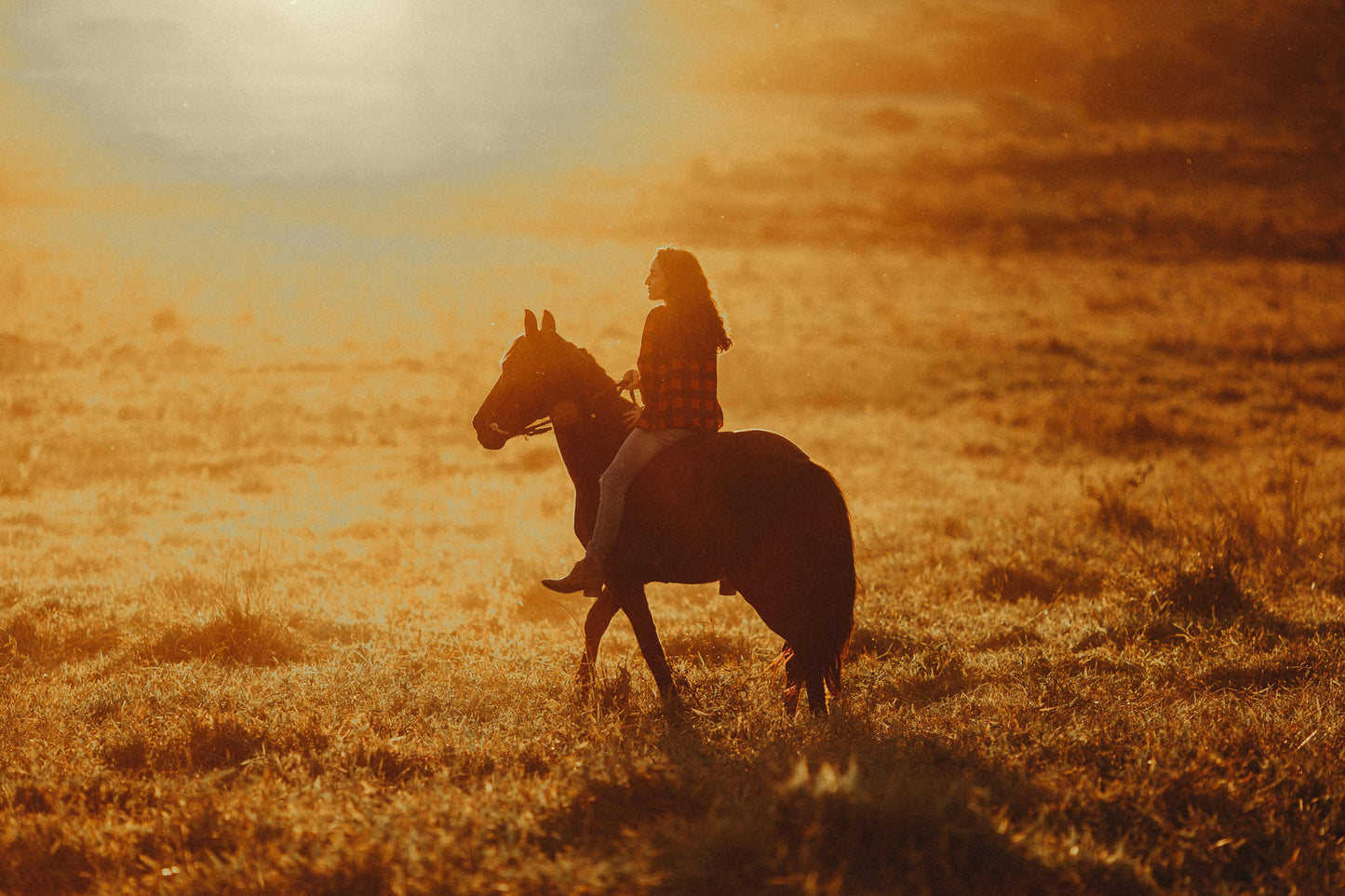 New South Wales: 1.25-Hour Golden Hour Sunset Horse Ride