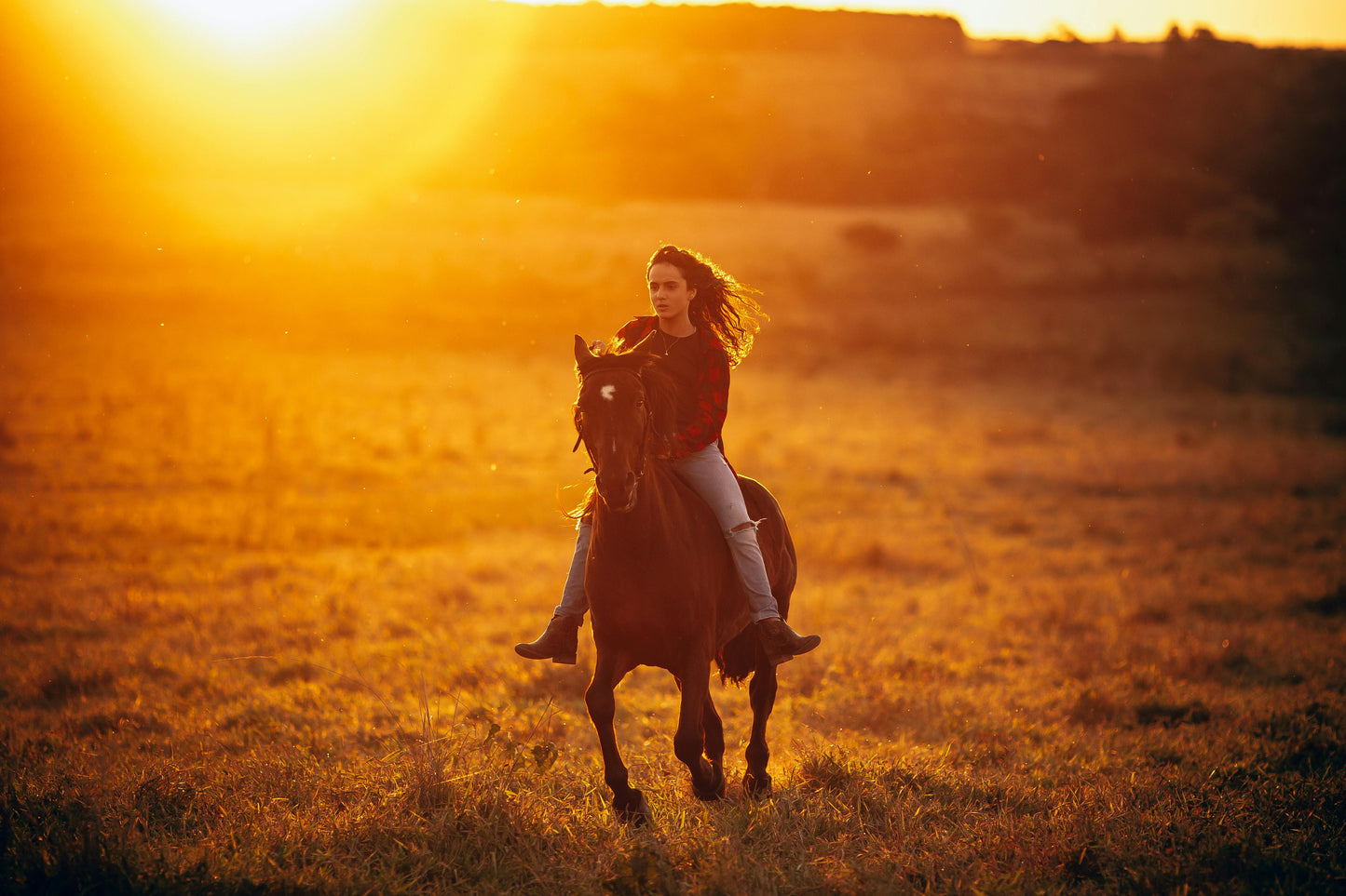 Arizona: Private Picnic Lunch Horseback Ride + Drinks + Pick-up Available
