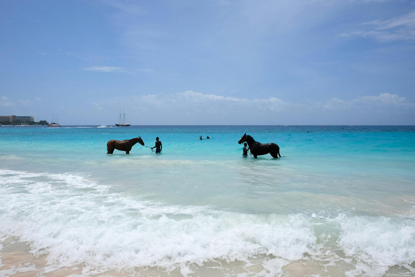 Langkawi: Horse Dream Magical Swimming