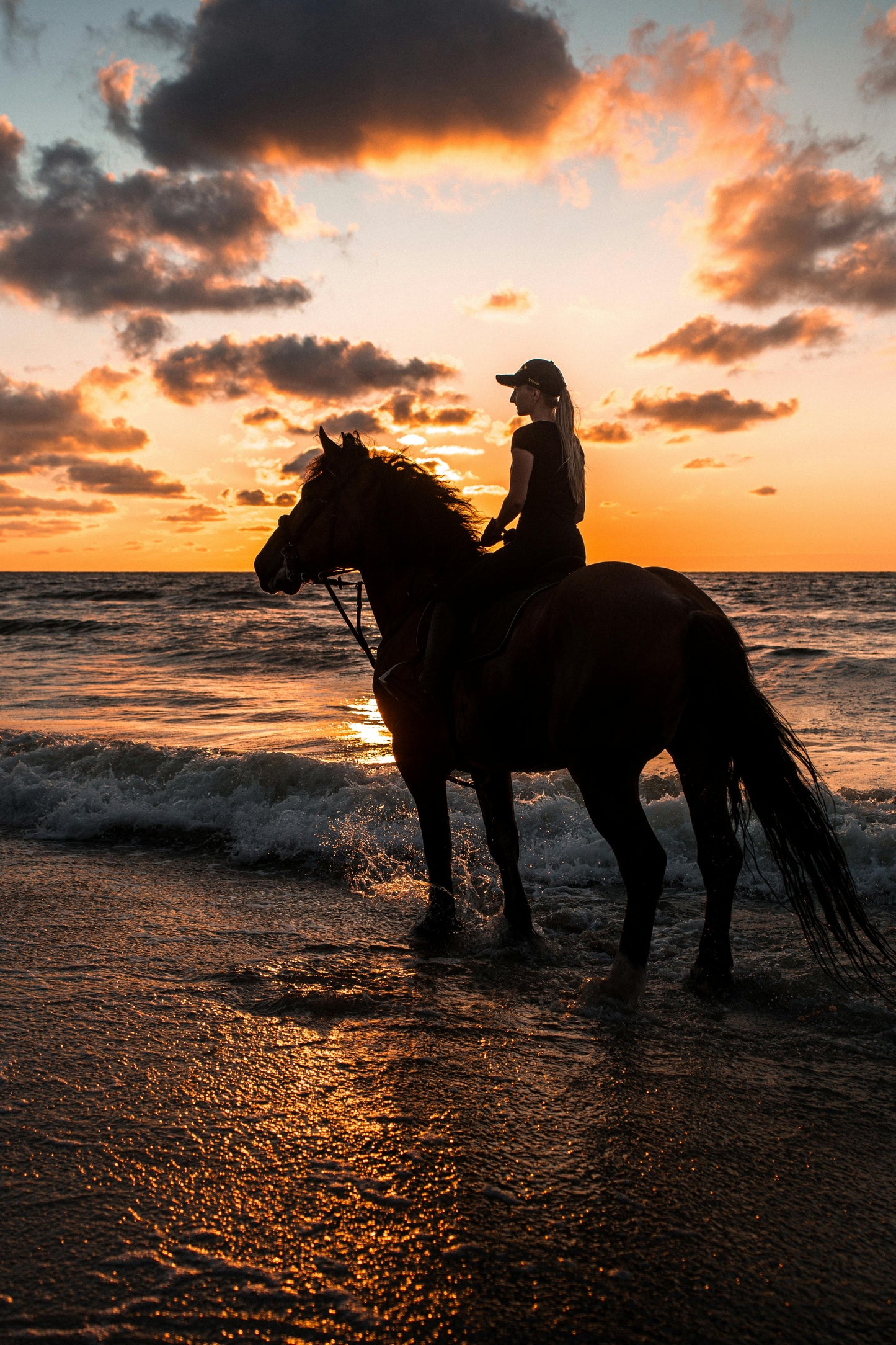 Zanzibar, Tanzania: 2-Hour Jungle & Village Sunset Horse Ride