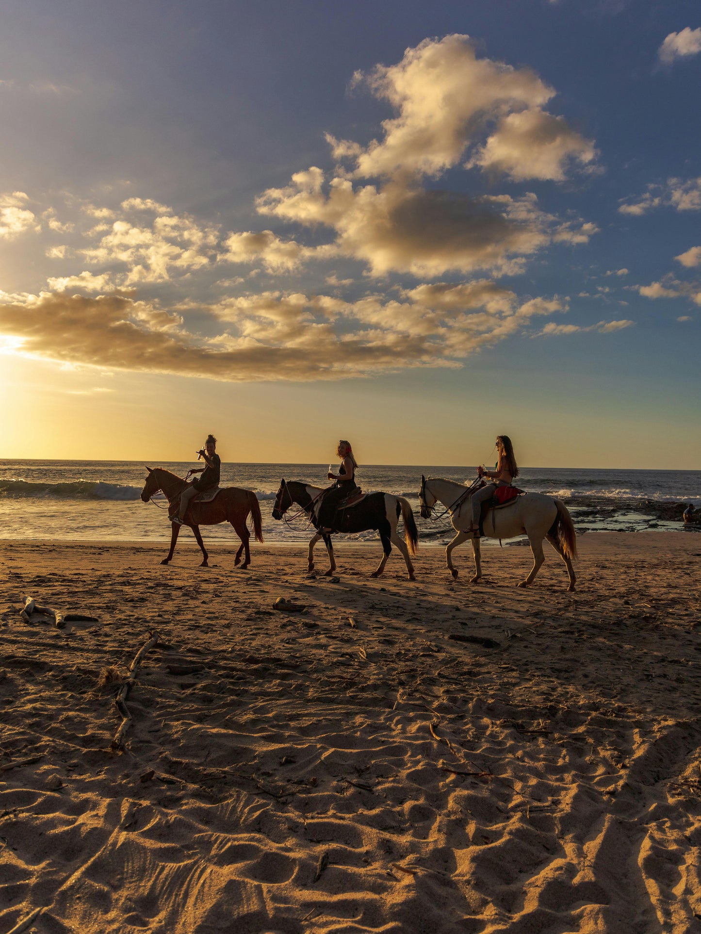 Queensland: 2-Hour Daintree Rainforest & Beach Ride