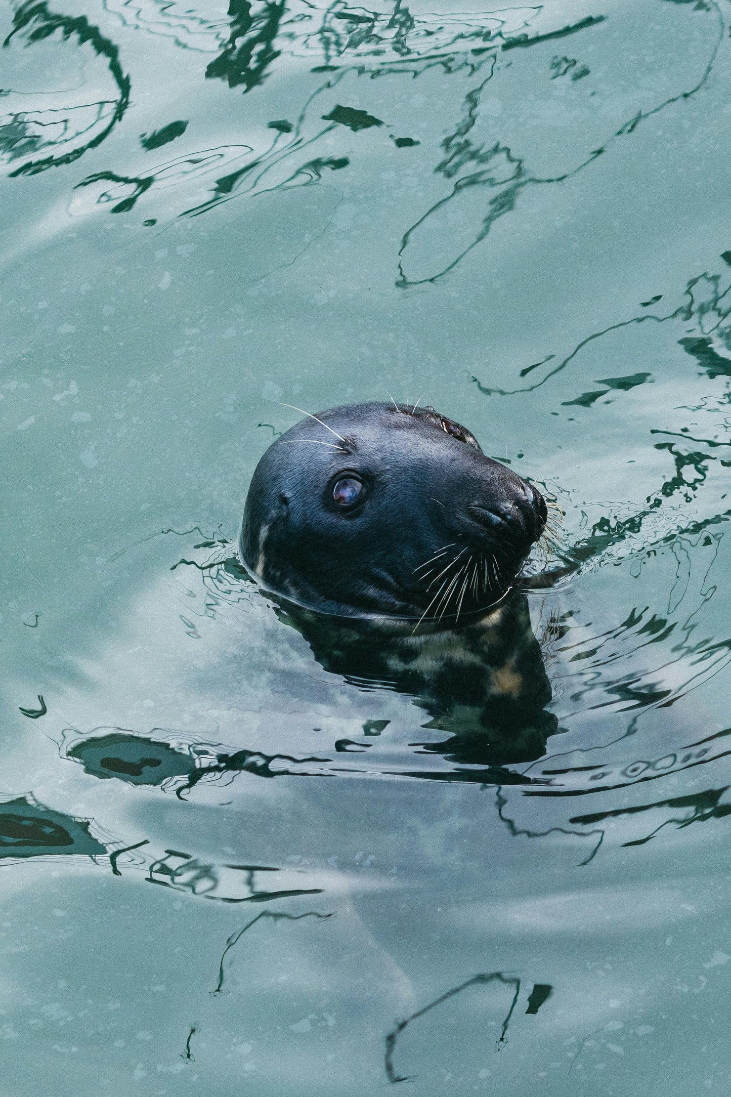 Dublin: Private Magical Coastal Panorama Bike Tour + Pick-up Available