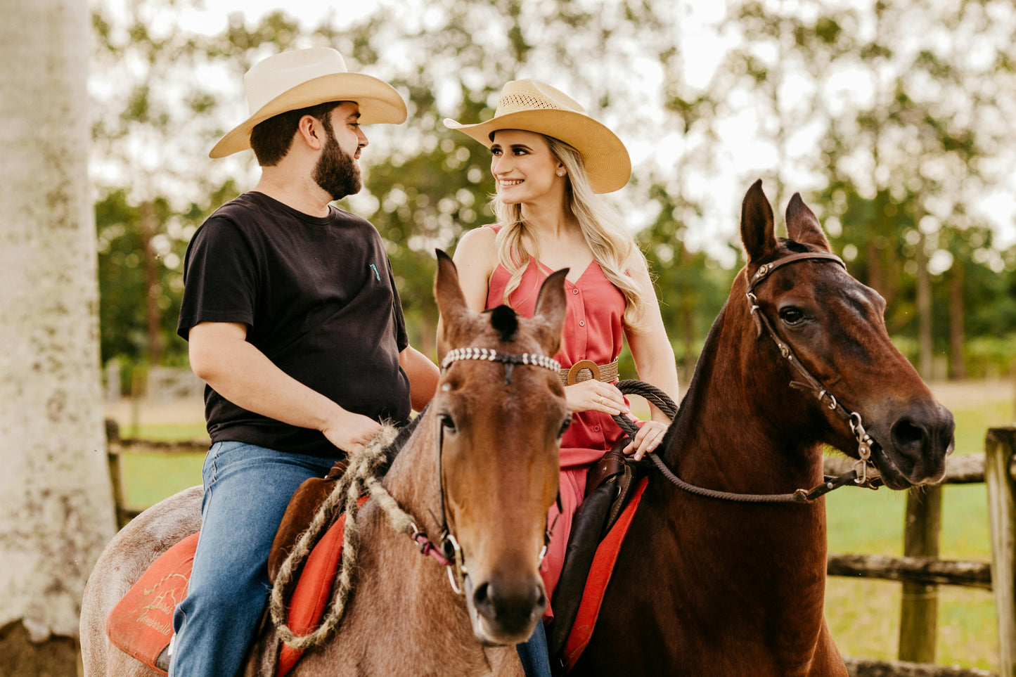 New South Wales: Couples Private Vineyard Horse Ride + Picnic