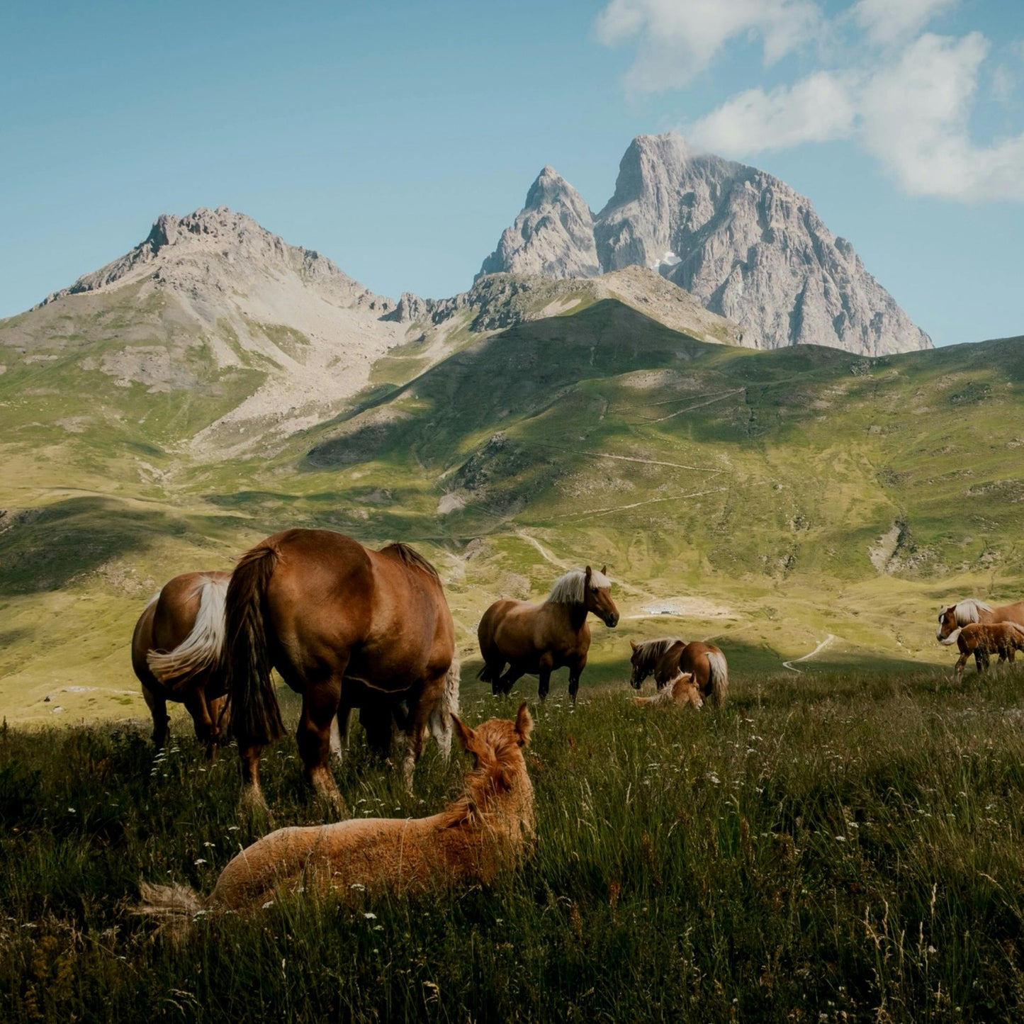 Kauai, Hawaii: 2-Hour Mahaʻulepu Horseback Tour with Ocean, Mountain & Valley Views