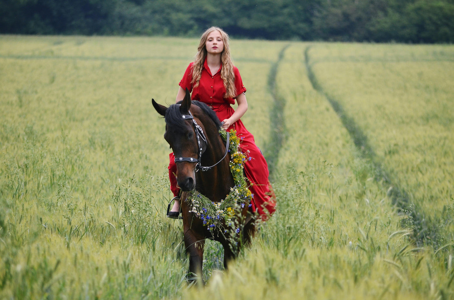 Kazbegi, Georgia: Truso Valley Horse Riding Tour + Pick-Up Available