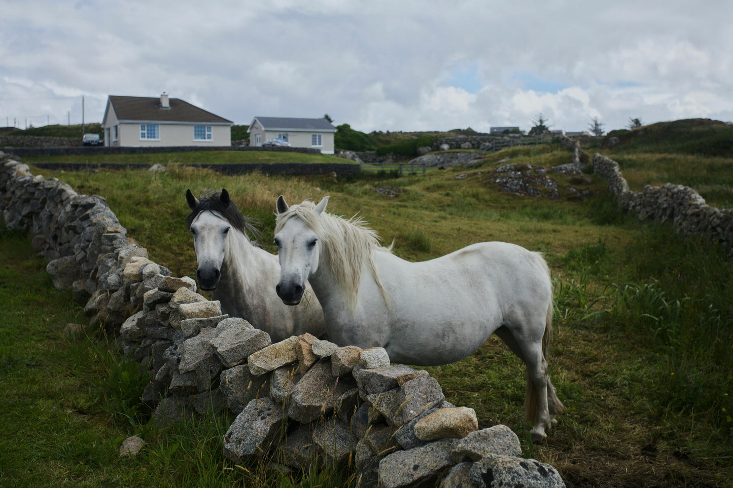 Dublin: Day Tour at Powerscourt and Glendalough through Horse Ride + Pick Up