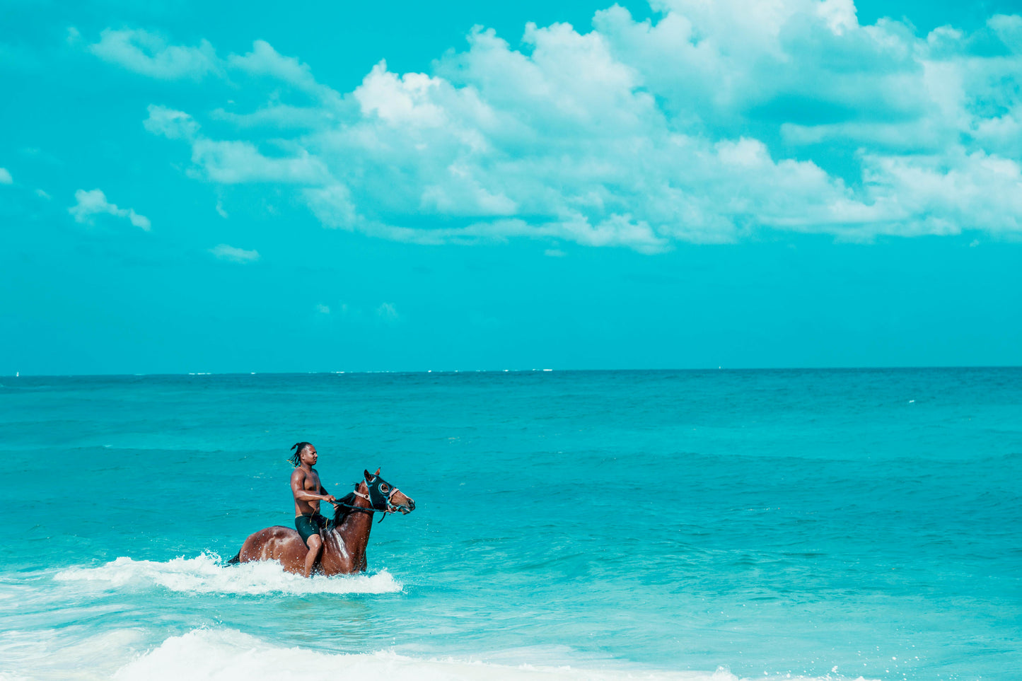 Zanzibar, Tanzania: 30-Minute Kendwa Horse Swim Experience