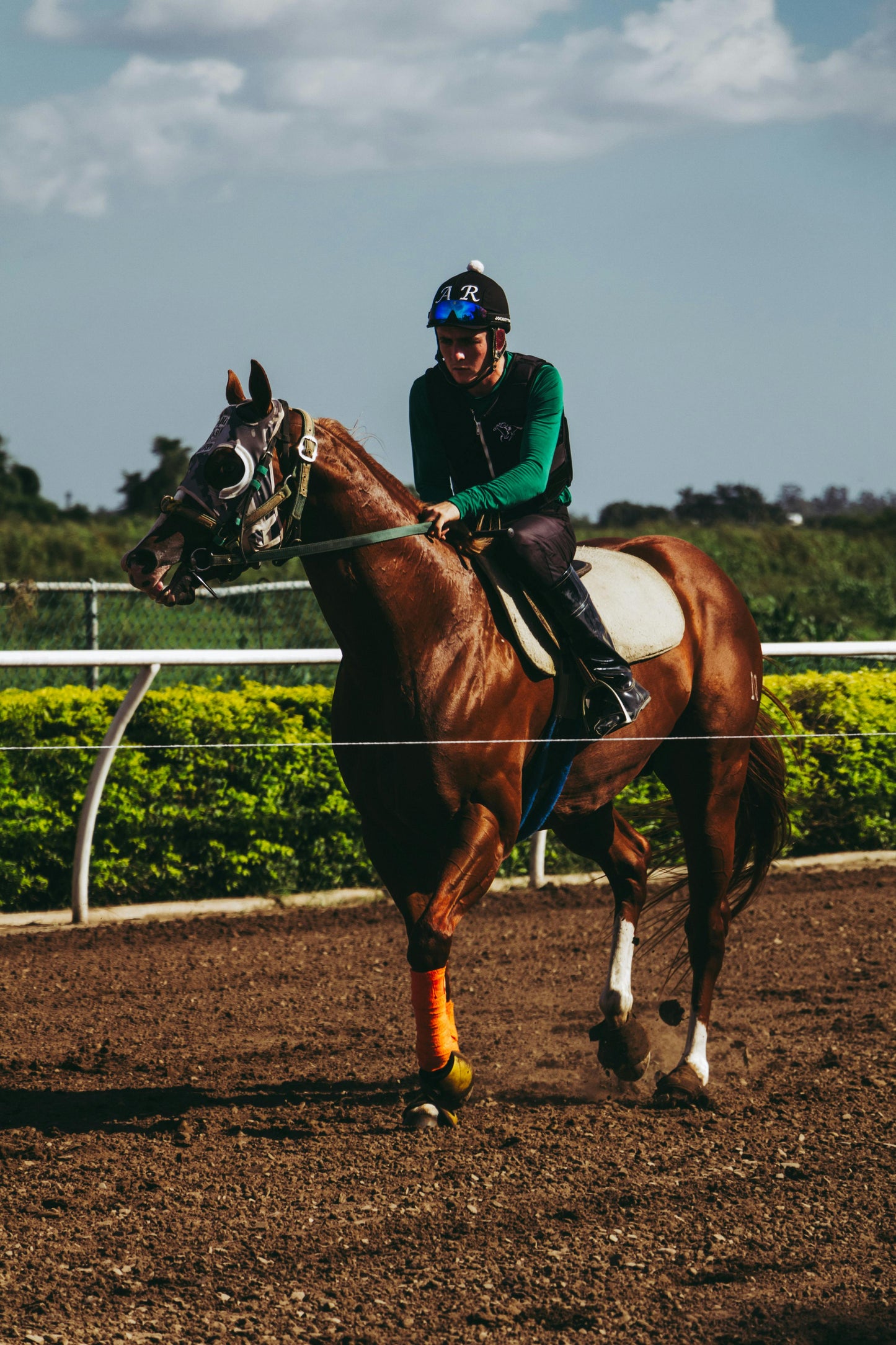 Elgin: The Adrenaline Horseback Ride