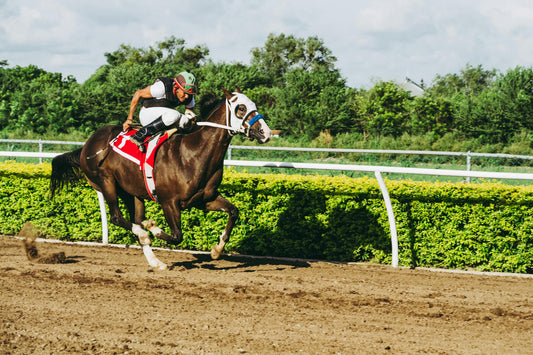 Elgin: The Adrenaline Horseback Ride