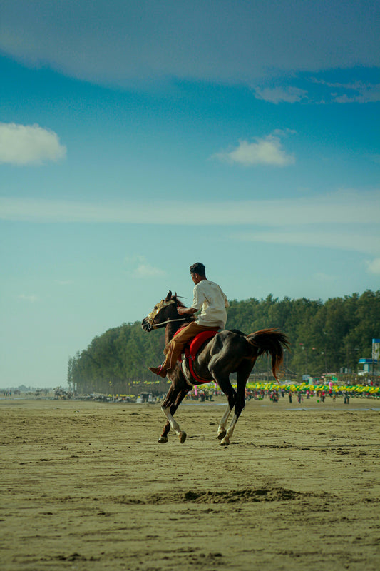 Jeffreys Bay, Eastern Cape: 2-Hour Beach Trail with Canter & Gallop (Intermediate Rider)