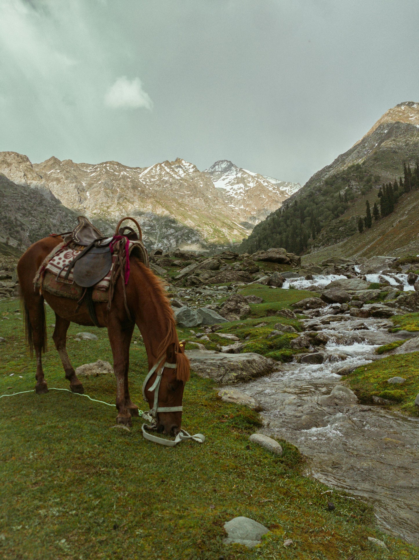 Glenorchy, New Zealand: Misty Mountains Trail Ride