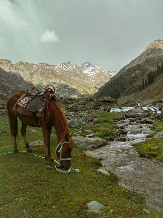 Glenorchy, New Zealand: Misty Mountains Trail Ride