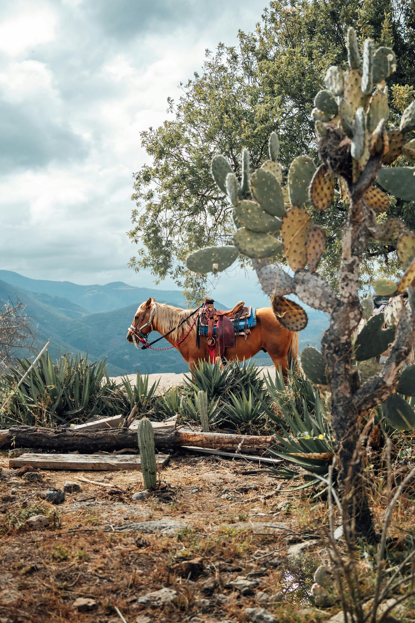 Oaxaca, Mexico: Countryside Horseback Journey
