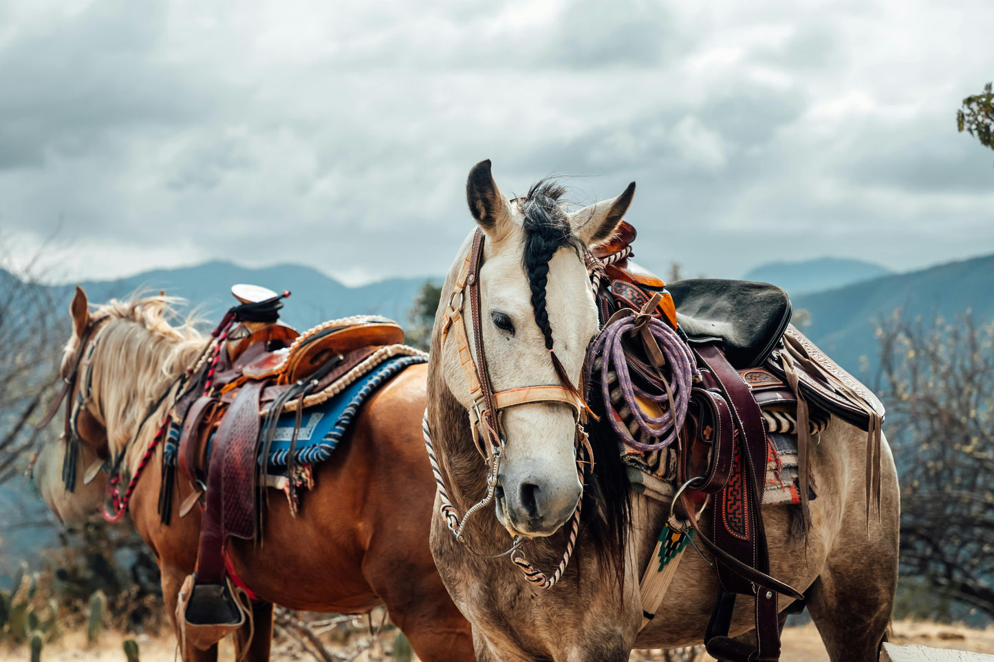 Oaxaca, Mexico: Countryside Horseback Journey