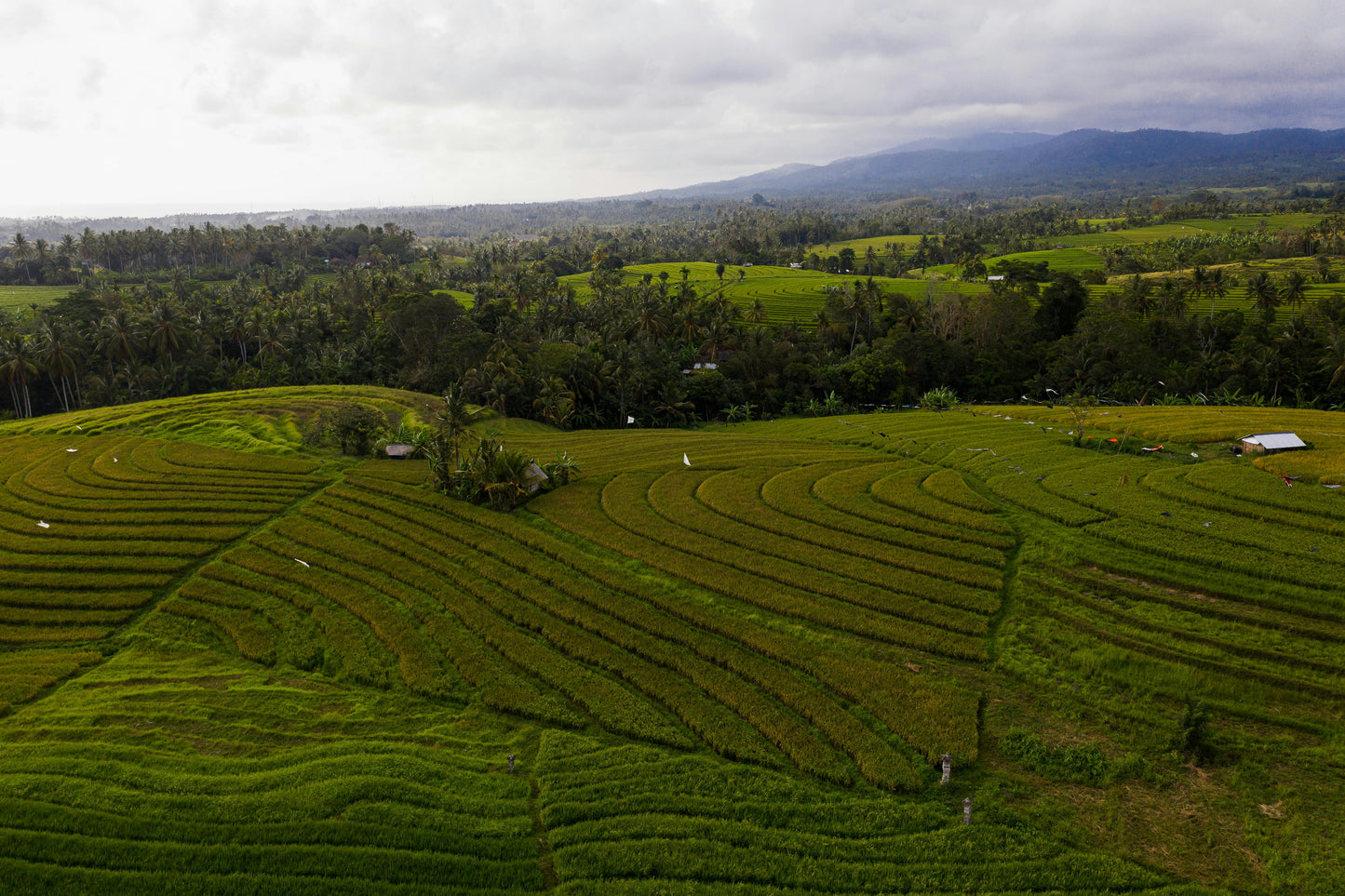 Langkawi: The Ultimate Nature Horseback Ride